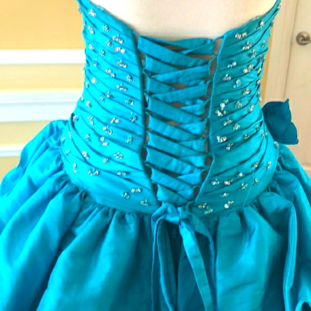 Vizcaya quinceanera dress/prom dress - Picture 6 of 13